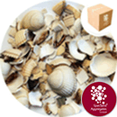 Barra Shell - Harling Repair